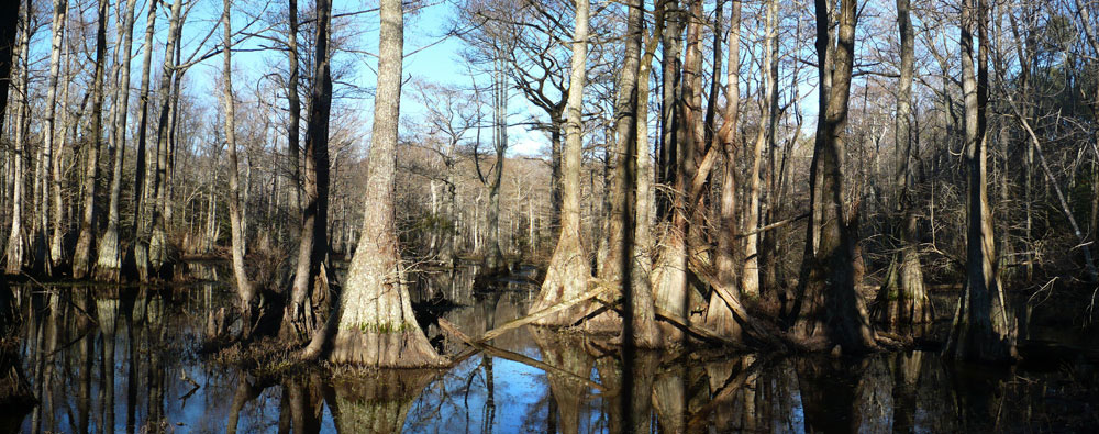 VOF Records Its First Easement in Isle of Wight County