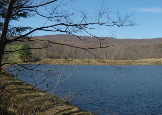 Purcellville Records Largest Easement in Loudoun County