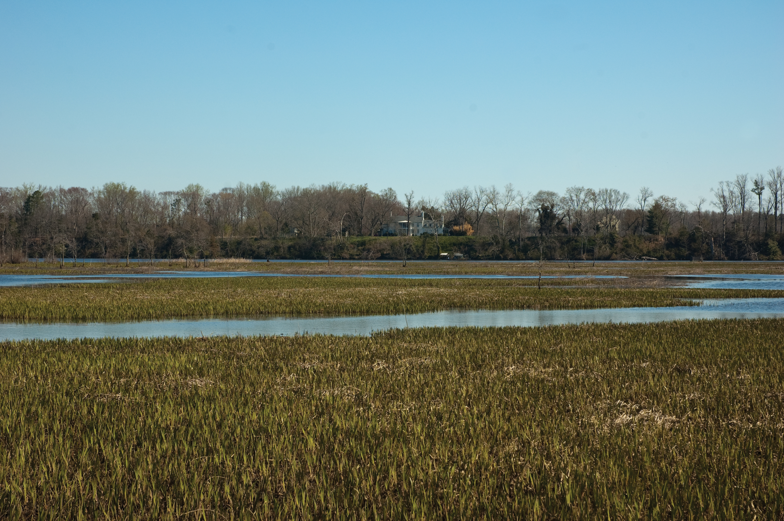 Family protects 350-year-old farm along the Mattaponi River