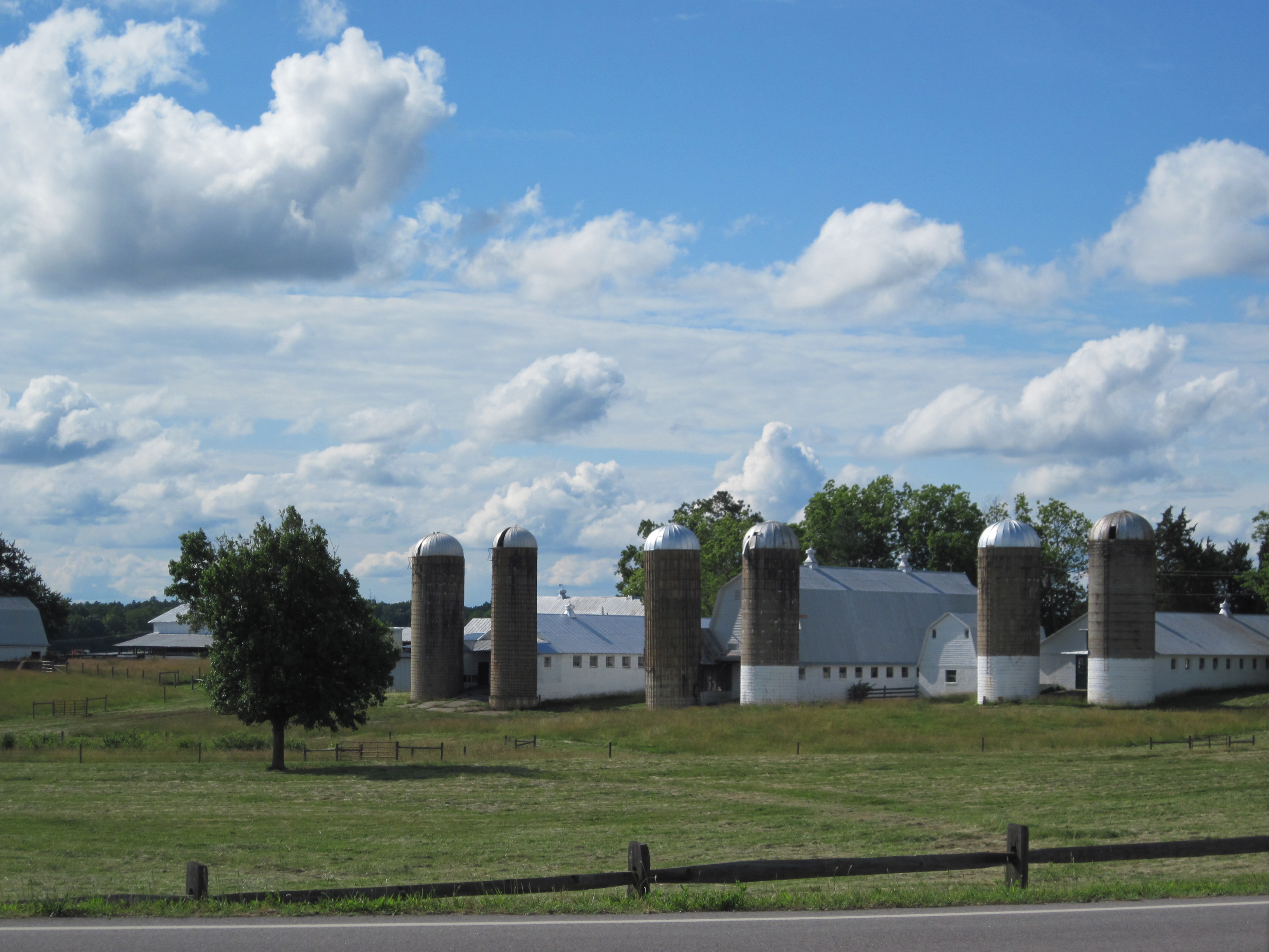 Survey finds VOF easements largely protecting working farms and forestland