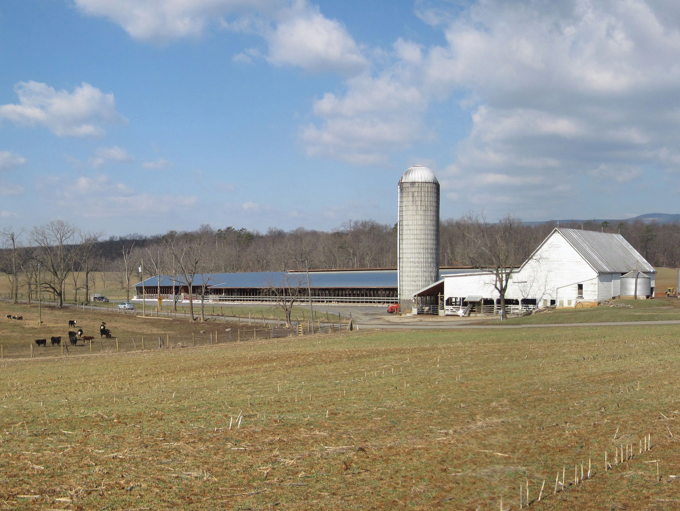 Shenandoah easement donor: "We're going to take care of the land"