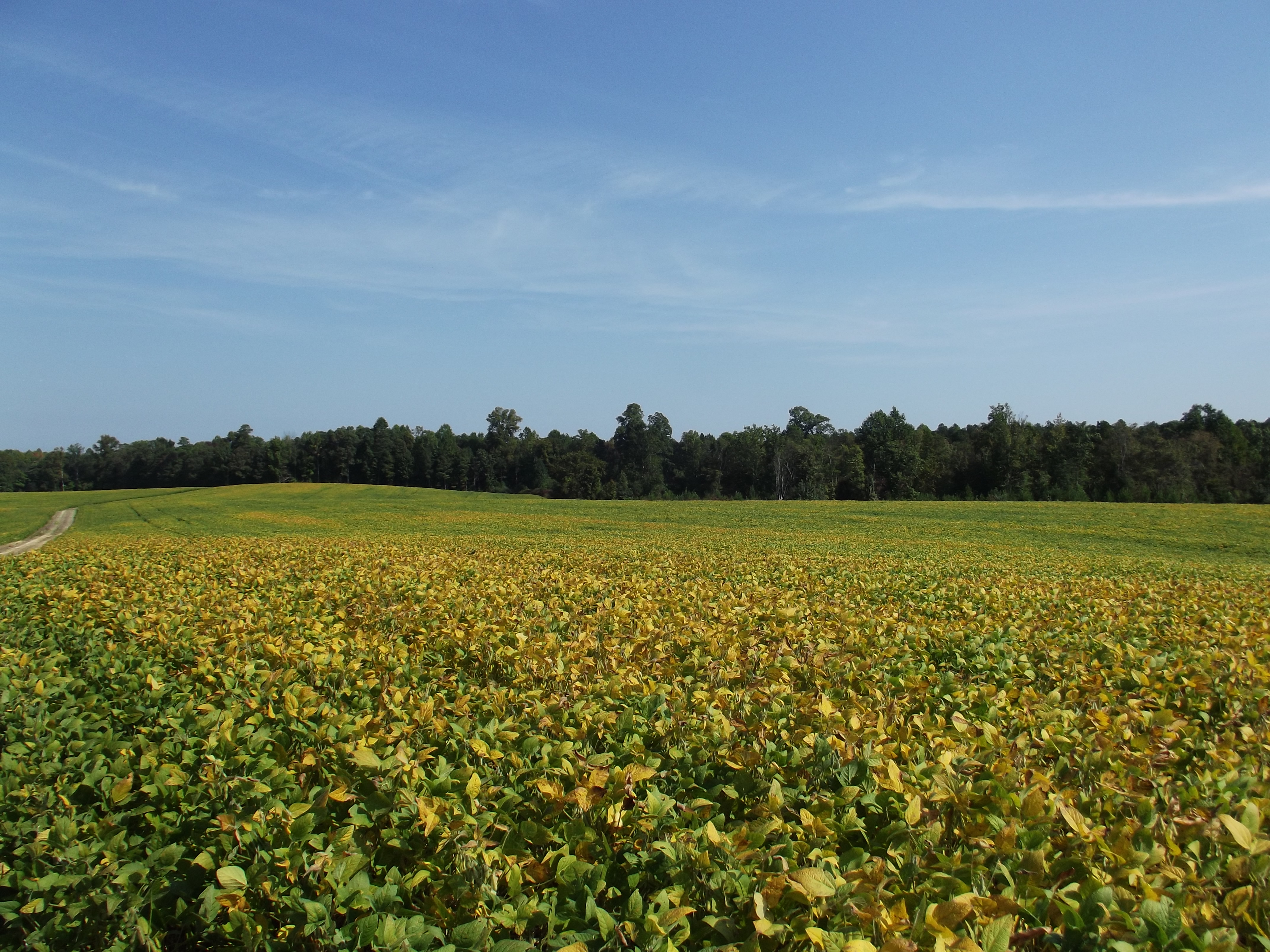 21,000 new acres of open space protected by VOF in 2015