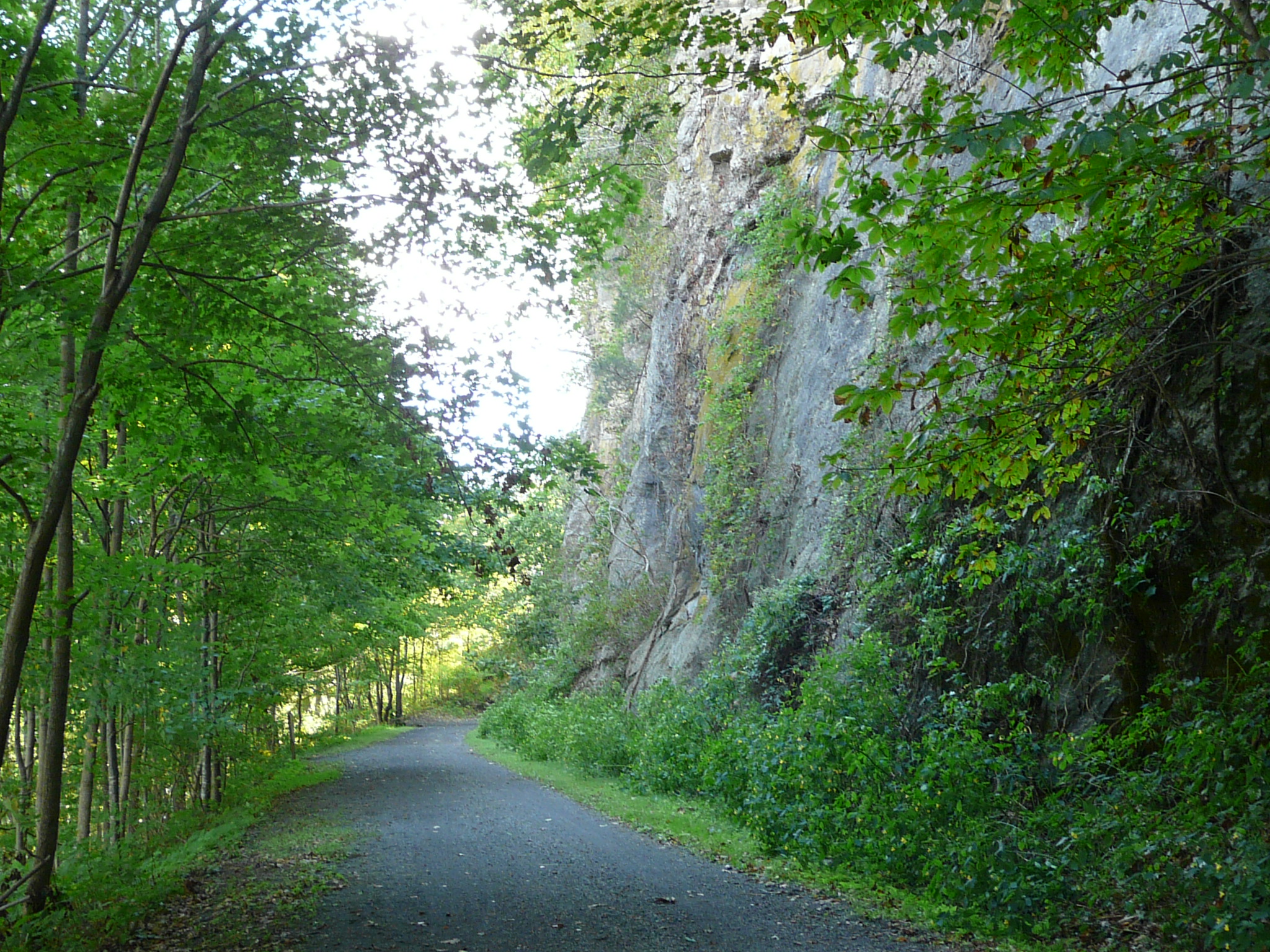 Celebrating 50 Years of Conservation in Southwest Virginia