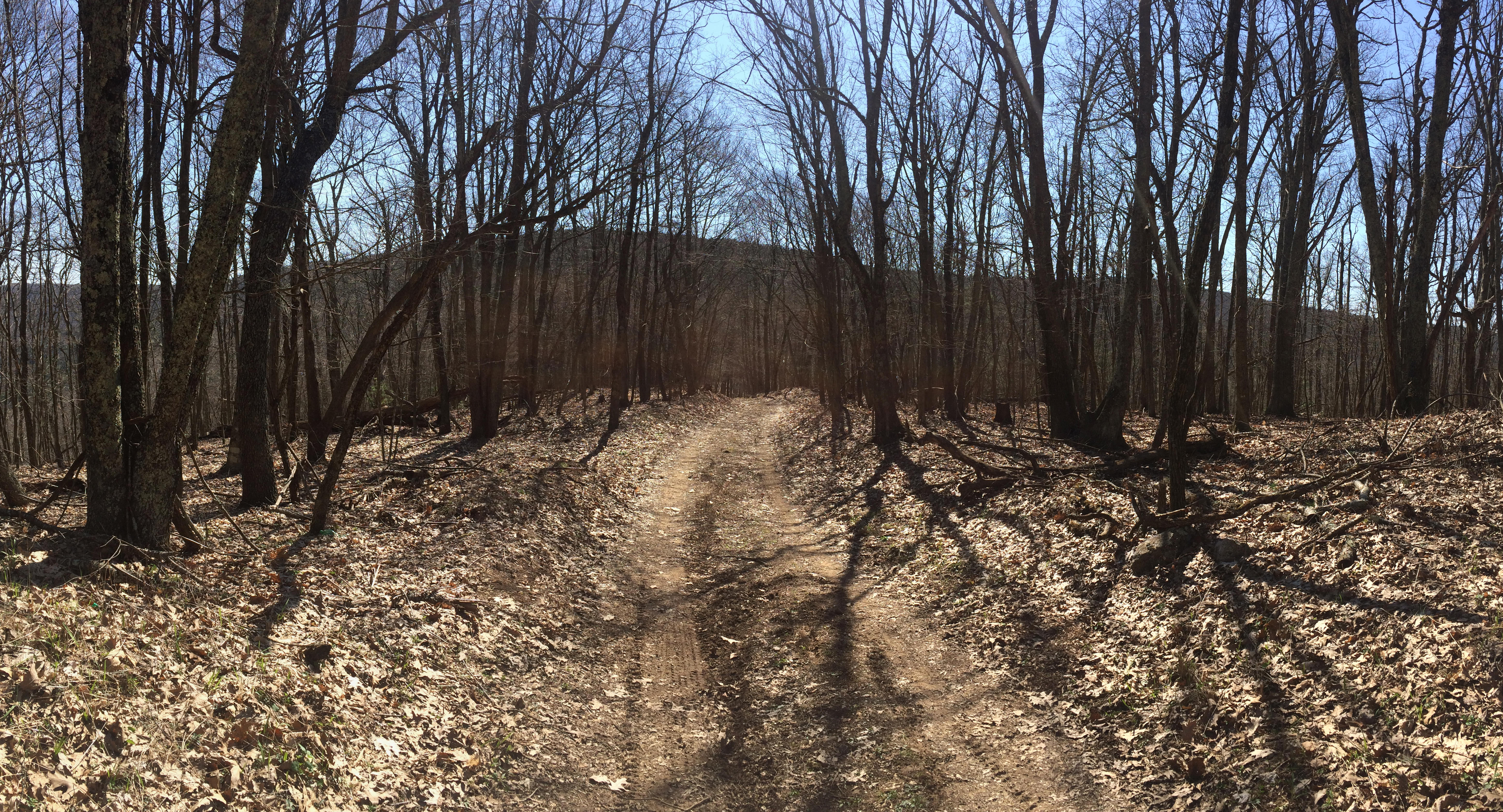 Mountain Valley Pipeline applies for conversion on Roanoke County easement