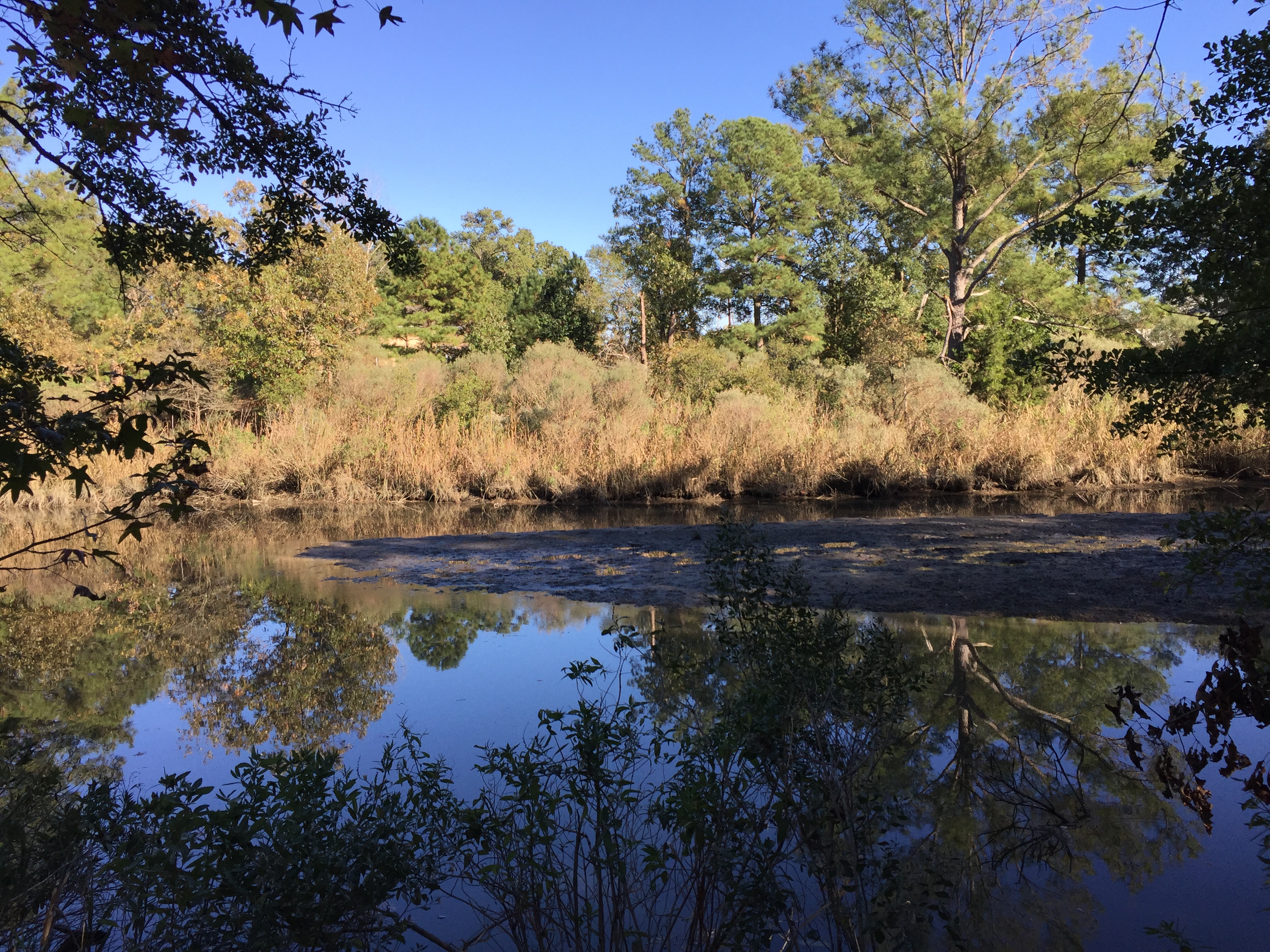 VOF helps create new waterfront park in Virginia Beach