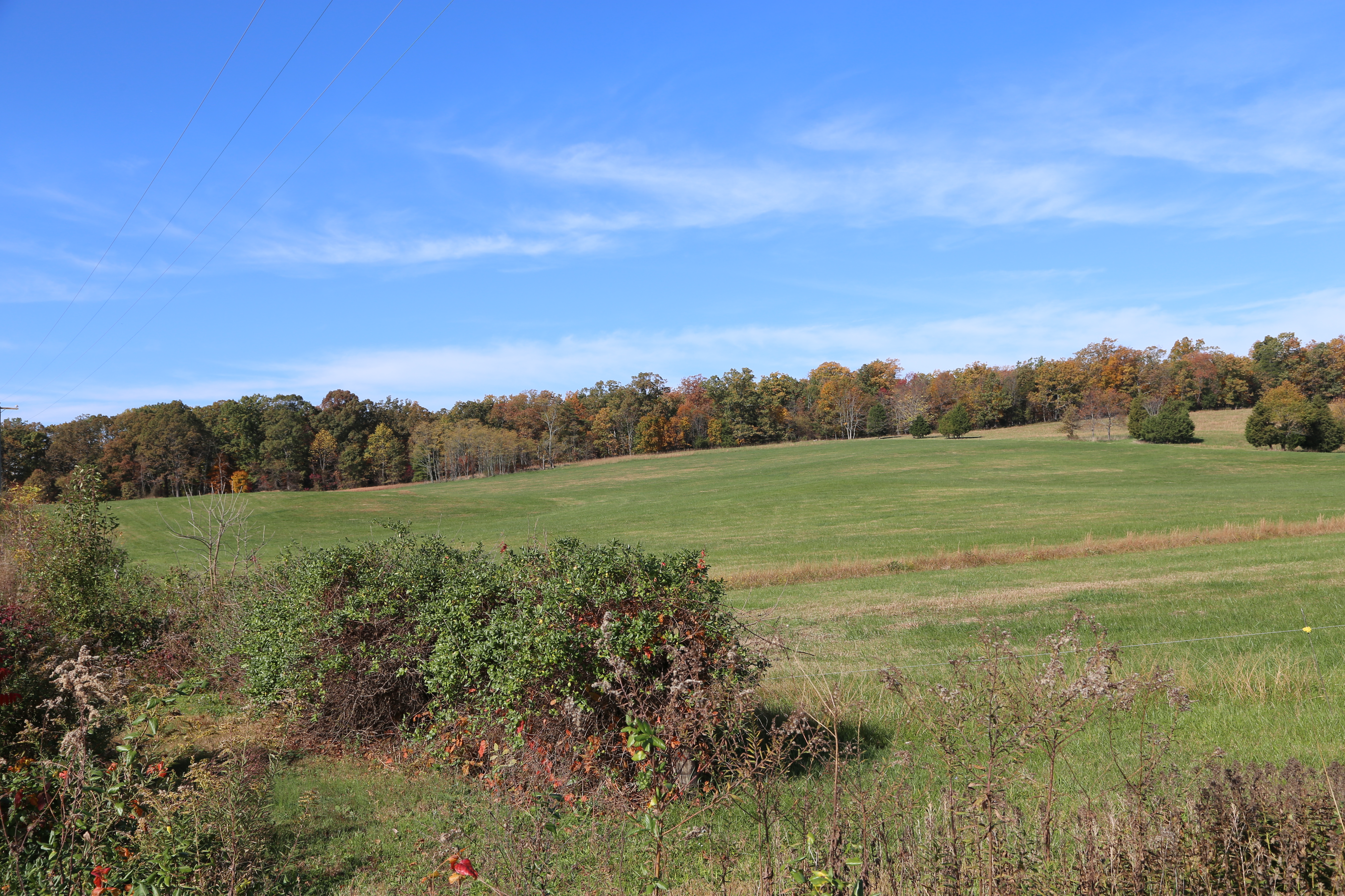 Partnership adds to protection of Brandy Station Battlefield in Culpeper