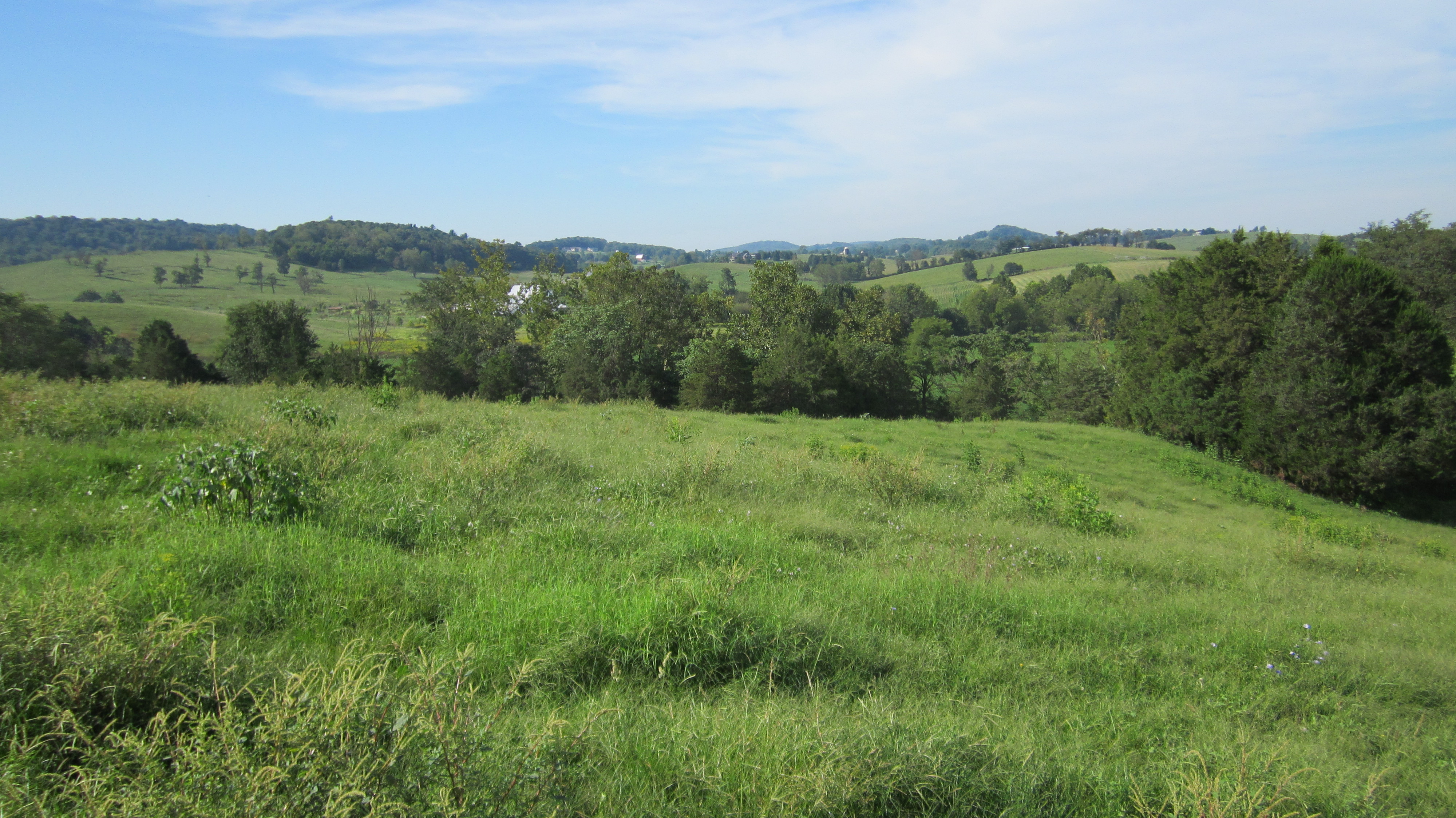 Rockingham farmers help protect headwaters of "showcase" Smith Creek watershed