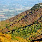 Fall foliage at House Mountain