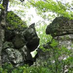 Student rock