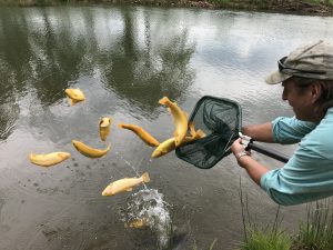 VOF to host fishing and painting events at Hayfields as planning process continues