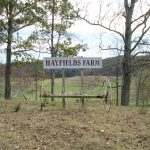 20161026_HIL_HayfieldsFarm_001