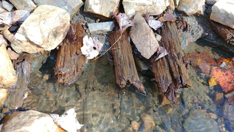 Corduroy roads found under old trail system at the preserve