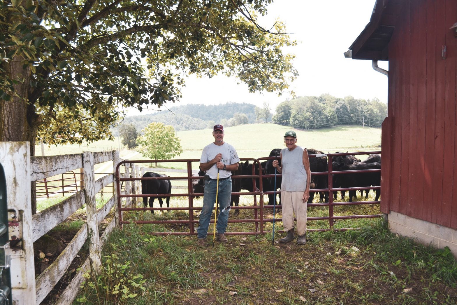 Donald and Kevin Thayer, Washington County