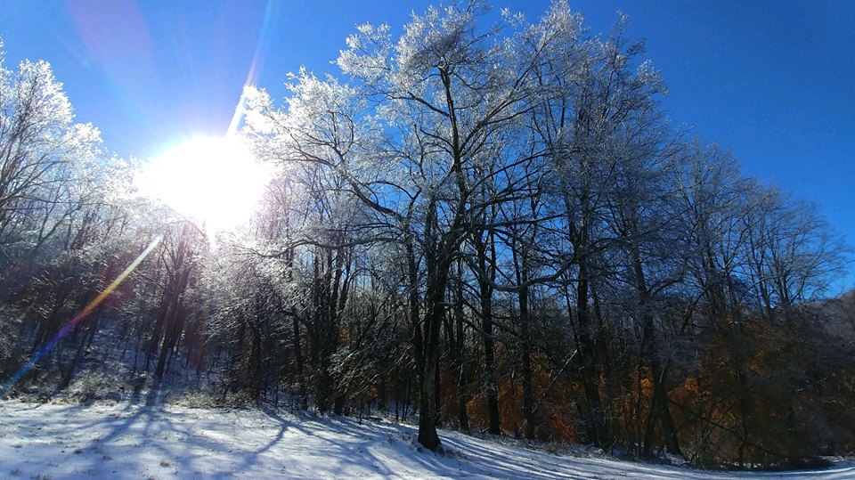 VOF announces new year-round public visitation hours at the preserve