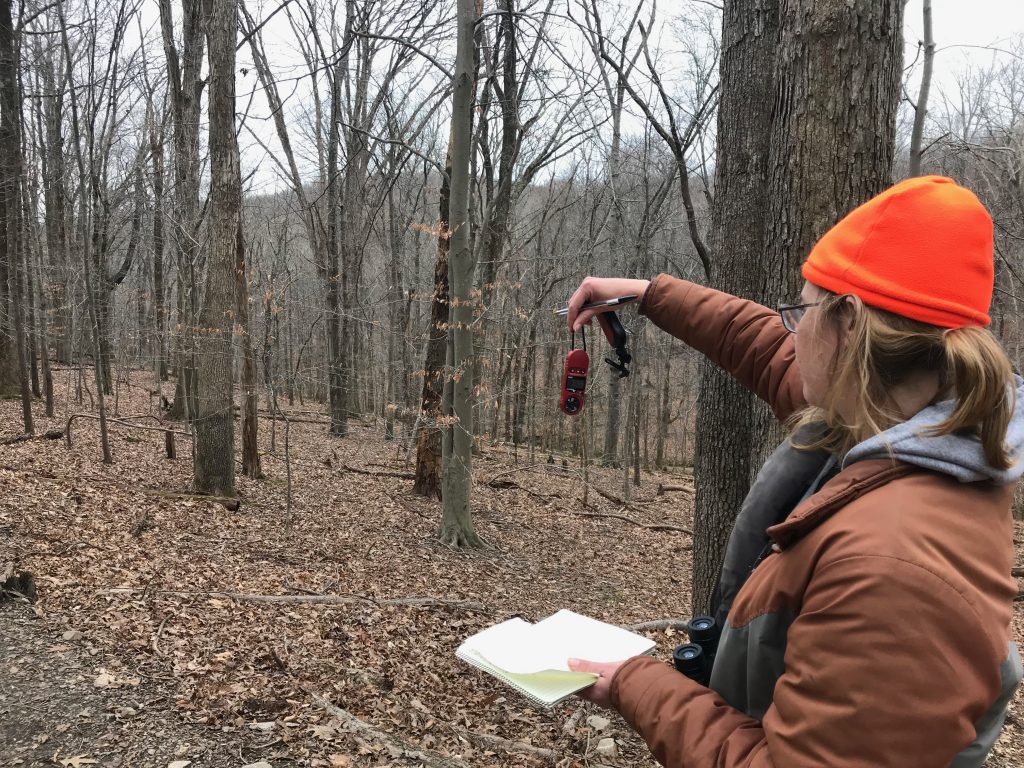 A Virginia Master Naturalist conducts a survey on everyone’s favorite arthropod at the preserve A Virginia Master Naturalist conducts a survey on everyone’s favorite arthropod at the preserve
