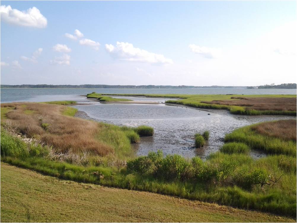 Captain Sinclair Recreational Area, Gloucester County