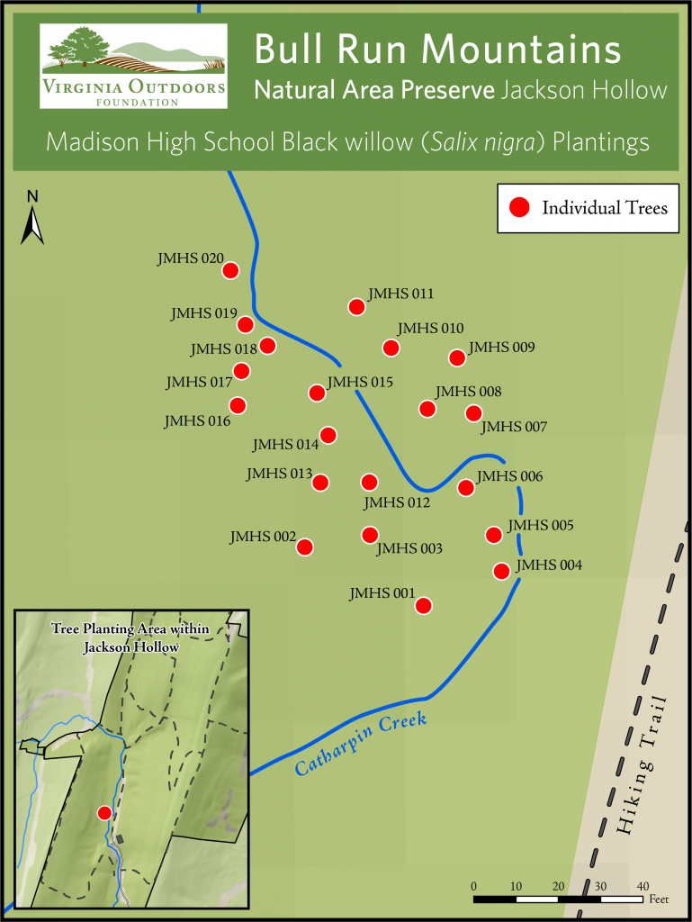 Madison High School students contribute to Preserve stream restoration efforts through native tree plantings