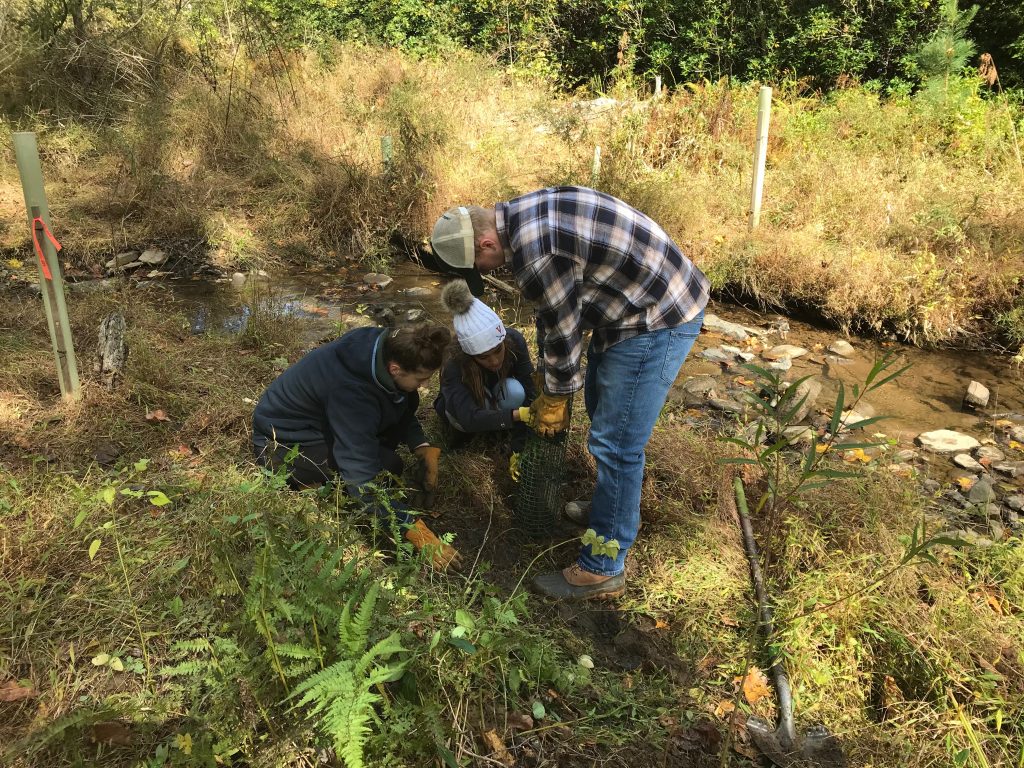 Madison High School students contribute to Preserve stream restoration efforts through native tree plantings