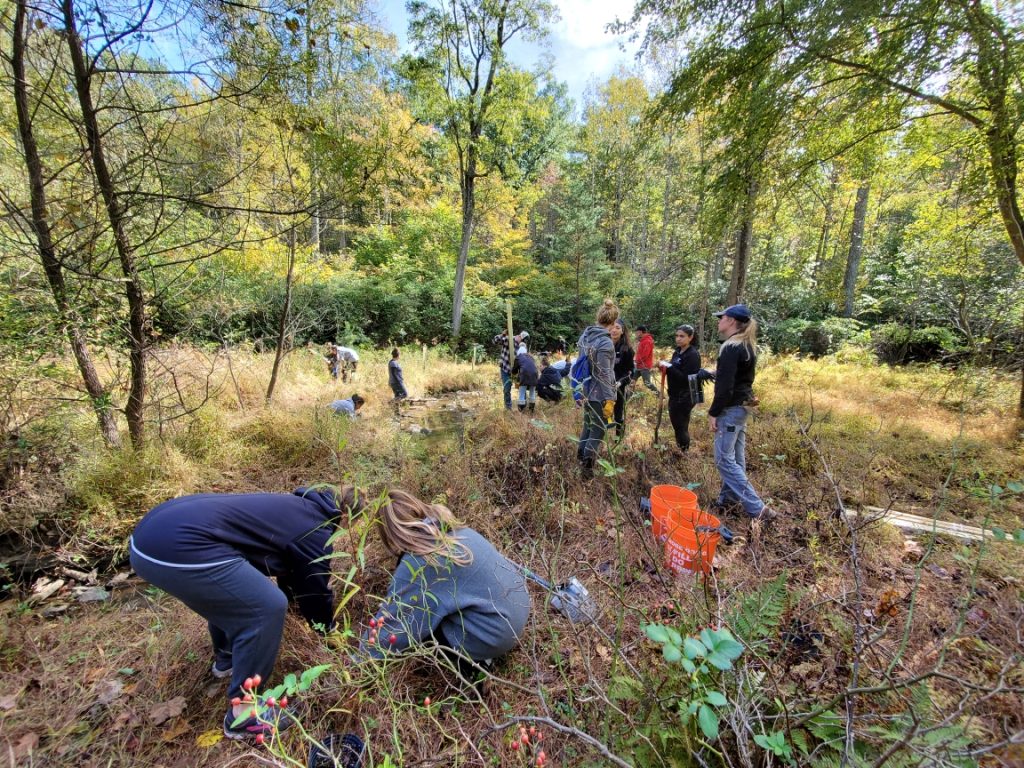 Madison High School students contribute to Preserve stream restoration efforts through native tree plantings