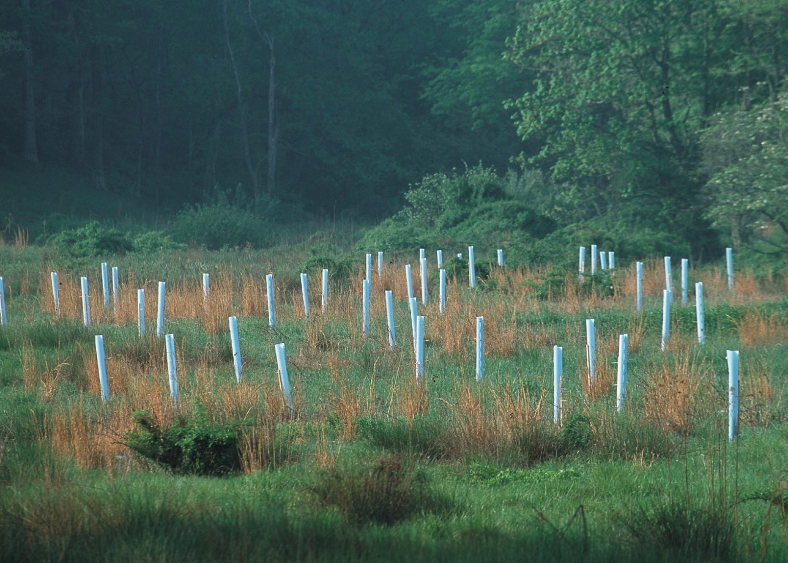 Funding available for water-quality projects in Appomattox River watershed