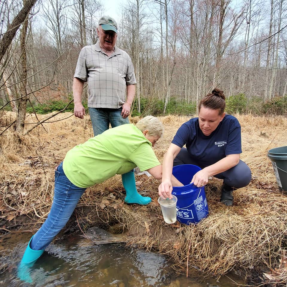 Brook trout re-introduction program continues at the Preserve, despite school closures