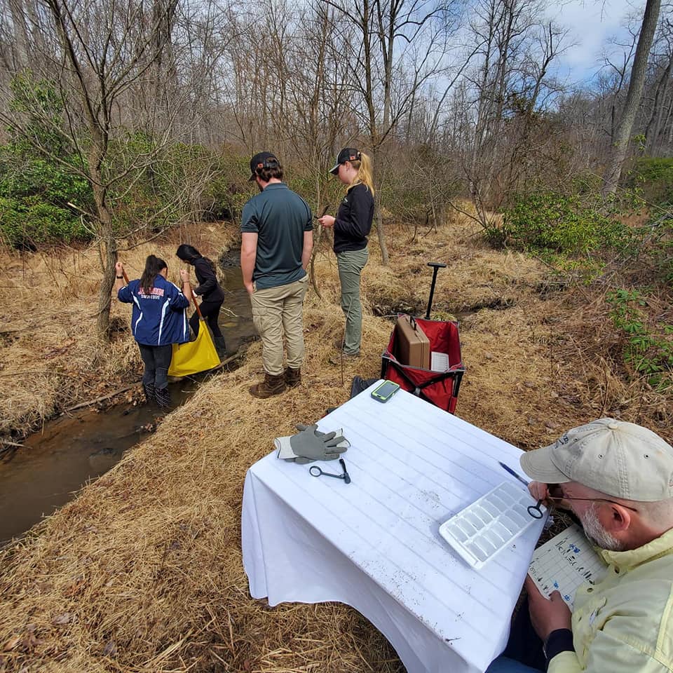 Brook trout re-introduction program continues at the Preserve, despite school closures