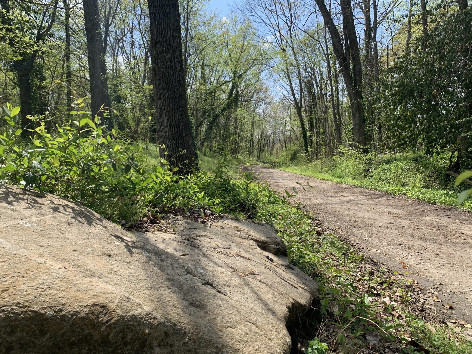 VOF’s first project in Petersburg helps effort to build Appomattox River Trail