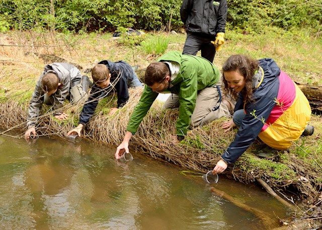 2020 Brook trout reintroduction season closes with highest number of releases the Preserve has seen yet