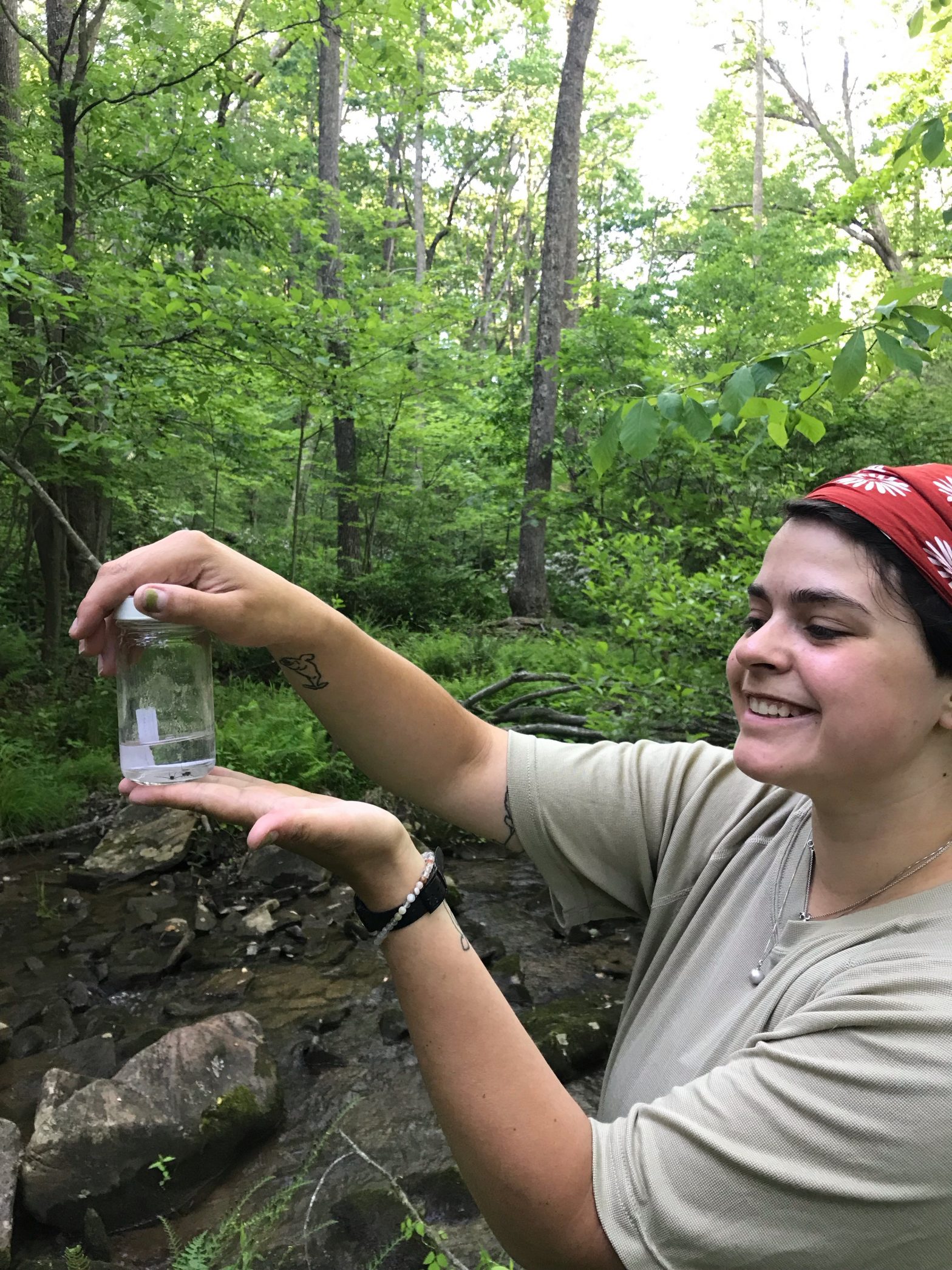 July Bug Love: Meredith Hart's introduction to insects on the Preserve