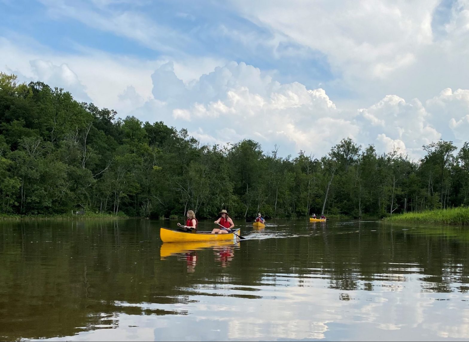 Turkey Island Creek, Henrico County