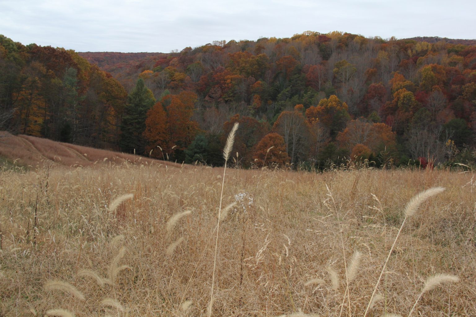 ThunderCroft, Montgomery County