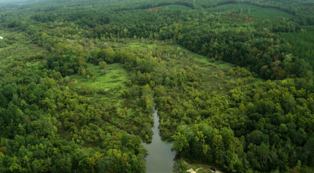 VOF grant helps to establish new State Forest in Charlotte Virginia