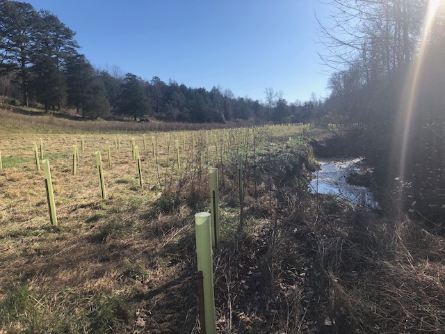 Buffer program works with landowners in Upper/Middle James River