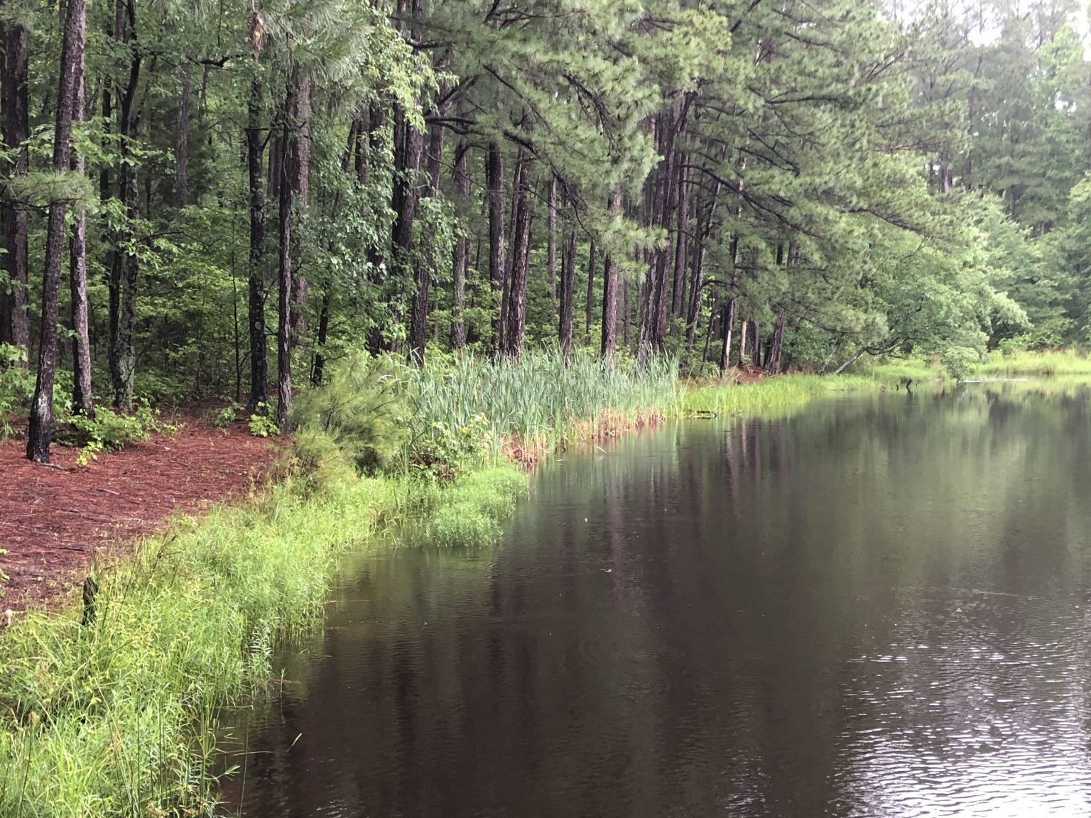 Albright Scout Reservation, Chesterfield County