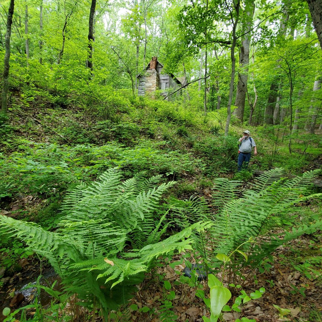 The Preserve: Reconstructing an African American Neighborhood