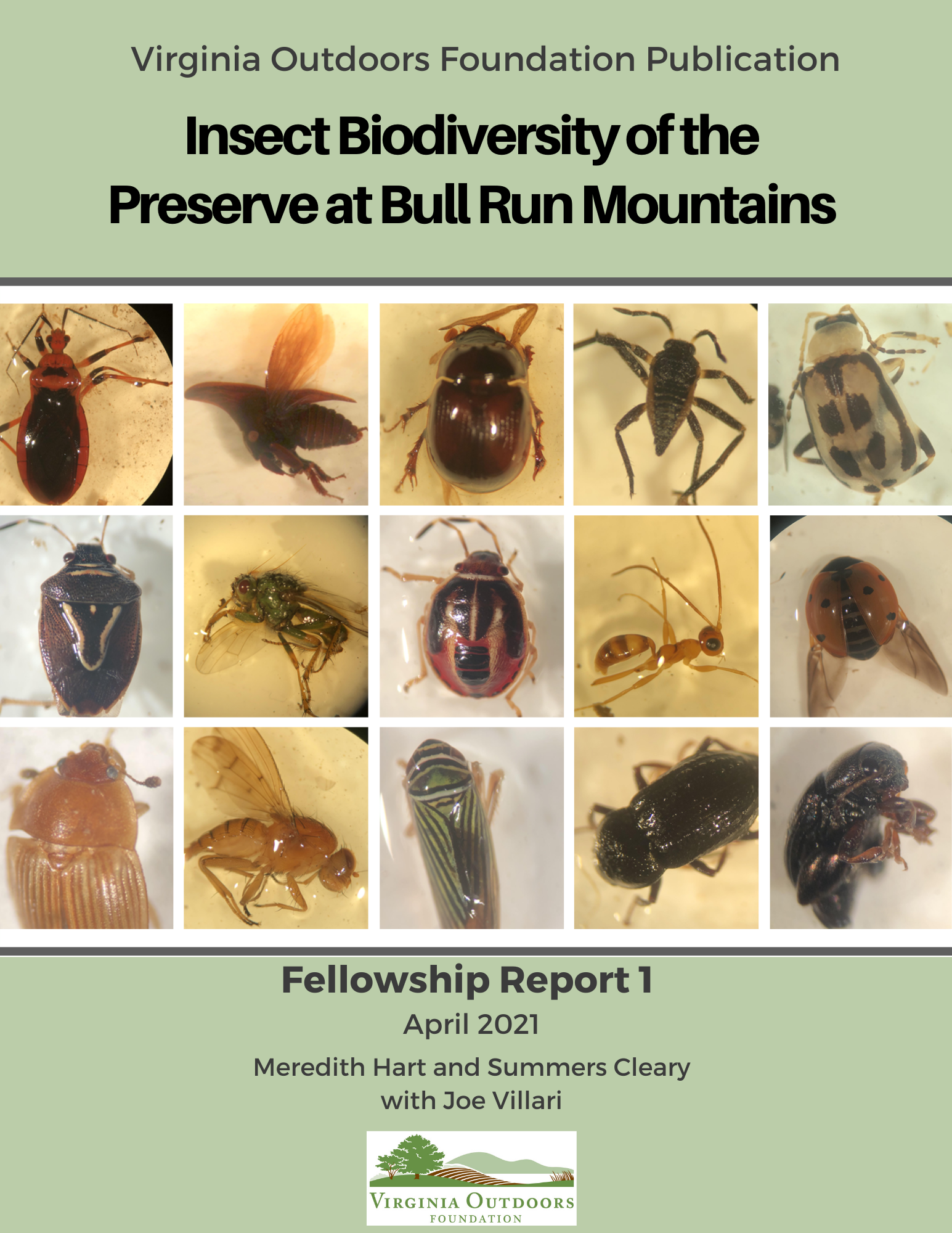 Insect Biodiversity of the Preserve at Bull Run Mountains; a Natural Science Fellowship Report