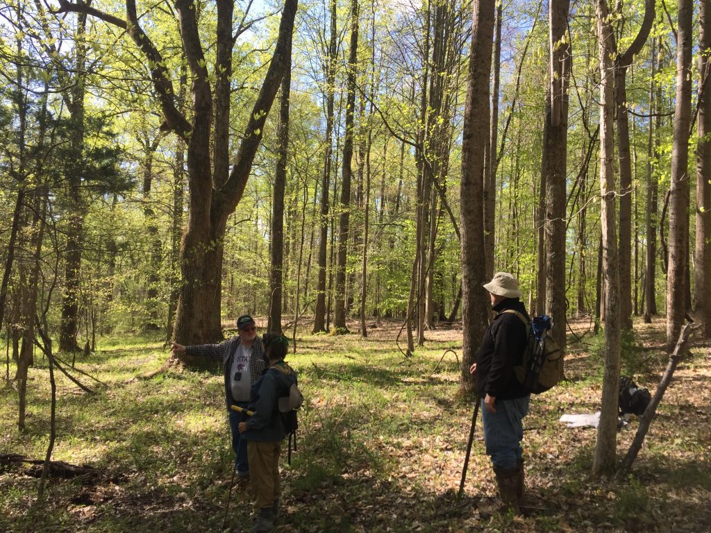 Introduction to Archaeological Survey in the Preserve