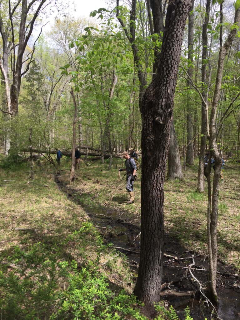 Introduction to Archaeological Survey in the Preserve