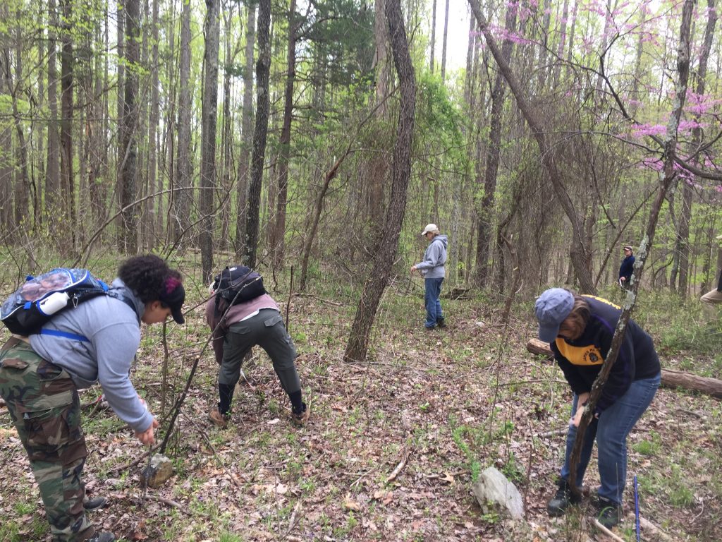 Introduction to Archaeological Survey in the Preserve