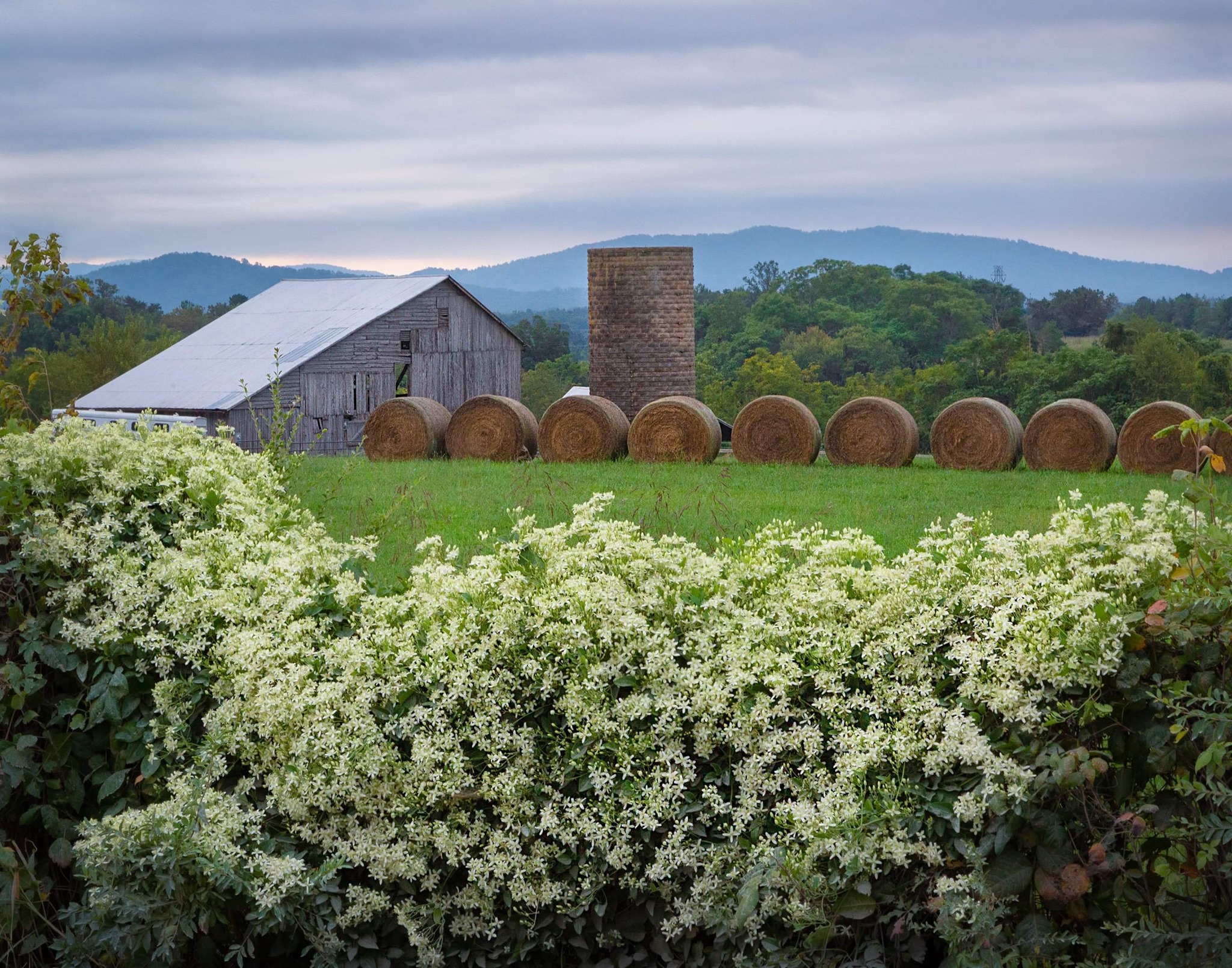 Henley's Orchard, Albemarle County Virginia Outdoors Foundation