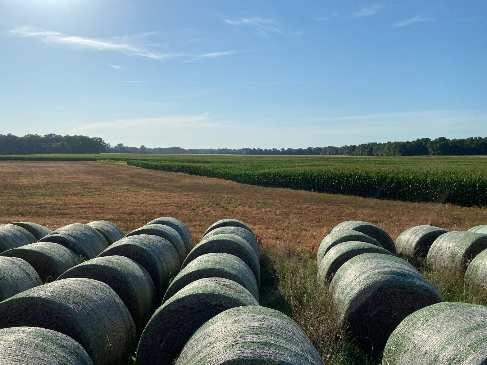 Farmland protected near Fort A.P. Hill supports military readiness