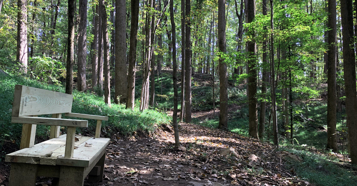 Makielski Tract, Heyward Community Forest, Albemarle County