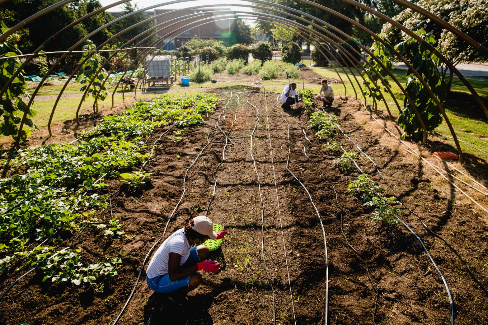 VOF announces $1.38 million for 28 open-space projects across Virginia