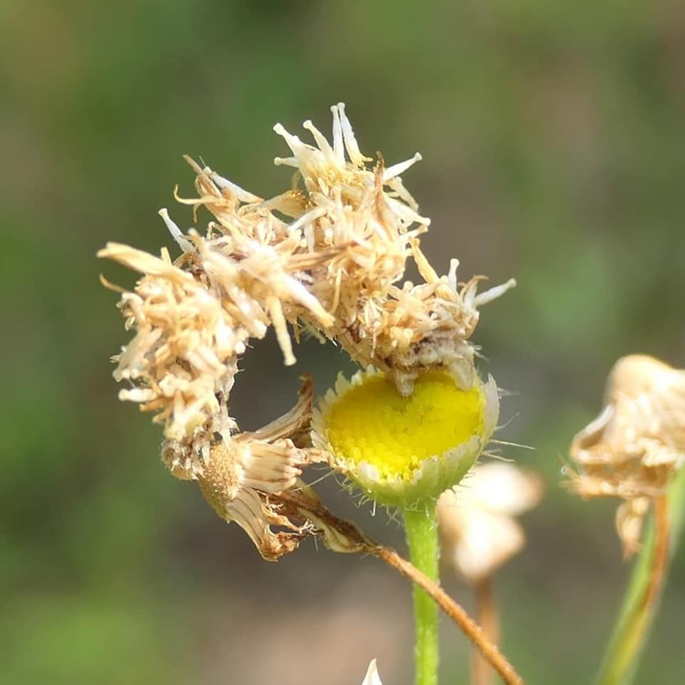 Recent Scenes from the Preserve