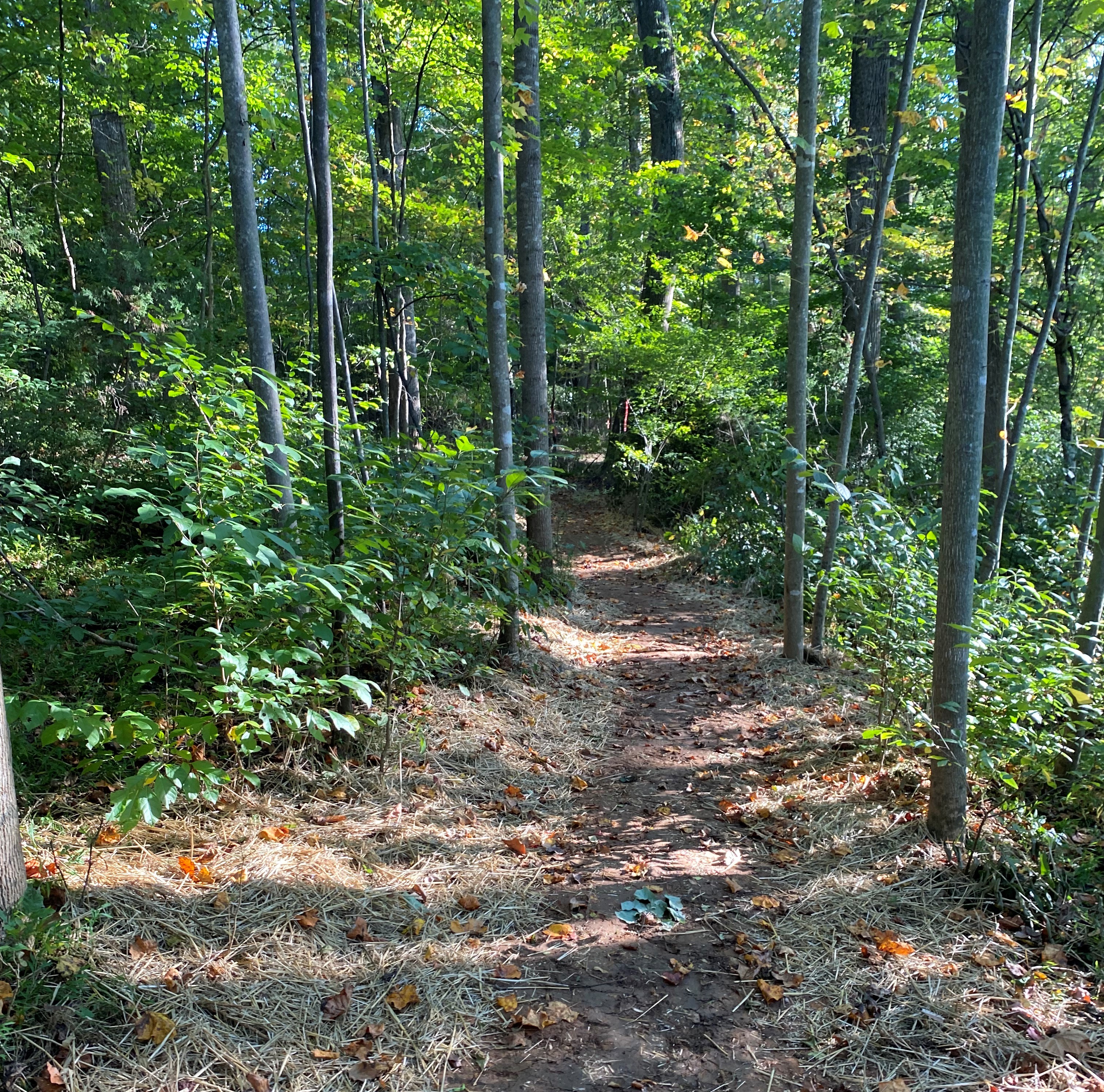 Celeste Park, Town of Rocky Mount