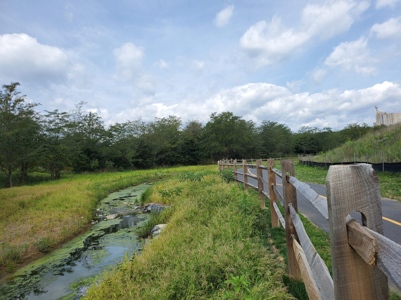 20200827_113329-Keith-Thomas-1536×1152 VOF funding builds on momentum gained from completion of other parts of the project, including a 2019 stream restoration to Black's Run. Photo: Keith Thomas.