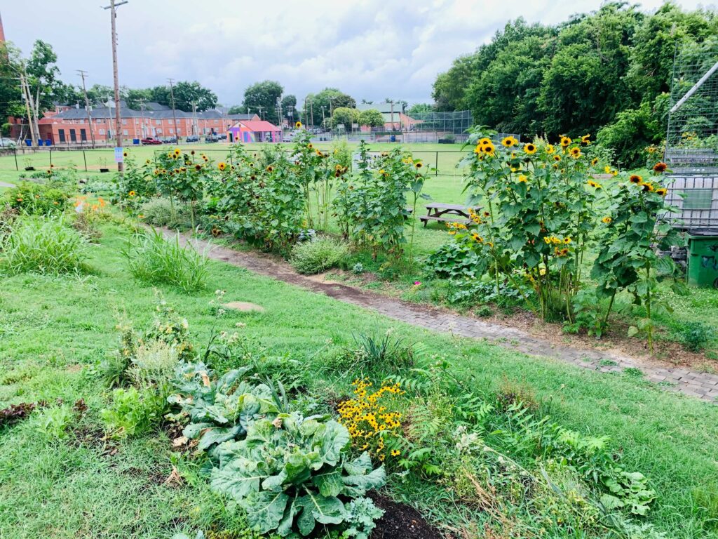 Food Justice Corridor, City of Richmond