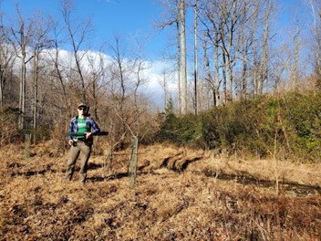 Stream Restoration in Jackson Hollow Follow-Up: A Student-led Conservation Success Story!