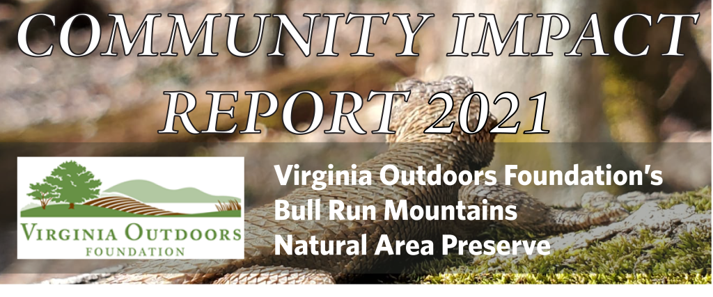 Banner for 2021 community impact report