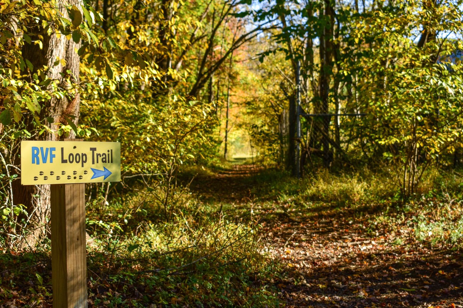 Elk Hill Farm and the Rockfish Valley Trail System, Nelson County